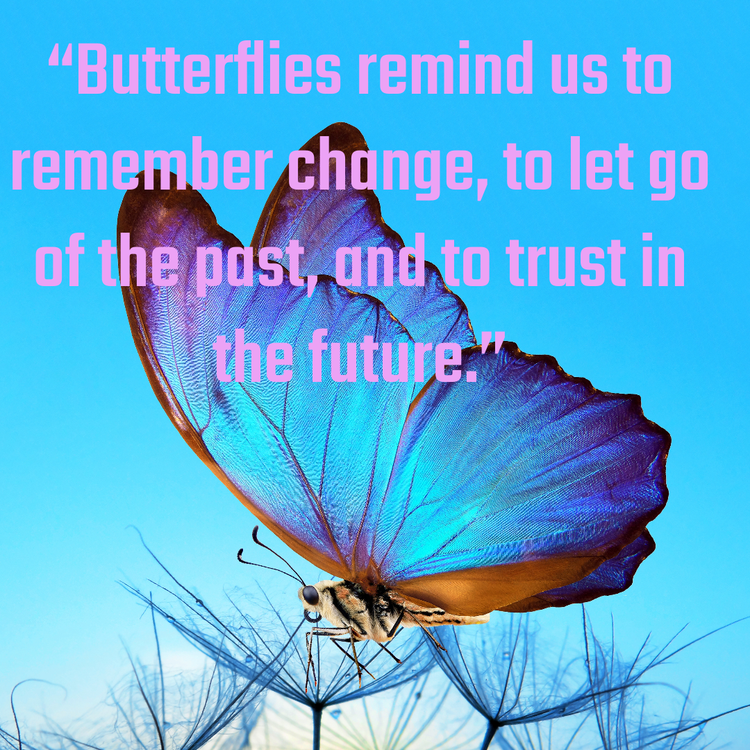 Short Butterfly Quotes for Instagram